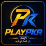 playpkr game apk