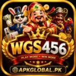 wgs456 game apk